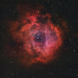 The Rosette Nebula