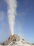 White Dome Geyser Erupting  Upper Geyser Basin Geothermal Area  Yellowstone National Park