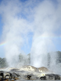 Pohutu and Prince of Wales Feathers Geyser  Whakarewarewa  Rotorua  New Zealand