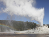 Castle Geyser Eruption  Upper Geyser Basin Geothermal Area  Yellowstone National Park  Wyoming