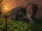 A Lone Torosaurus Dinosaur Feeding on Plants