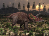 Artist's Concept of Triceratops