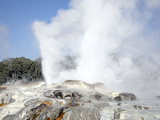 Pohutu and Prince of Wales Feathers Geyser  Whakarewarewa  Rotorua  New Zealand