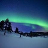 Aurora Borealis and a Shooting Star in the Woods of Troms County  Norway
