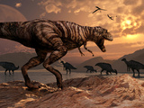 A T-Rex Plans His Attack on a Herd of Parasaurolophus Dinosaurs