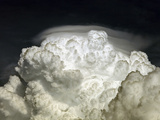 Cumulus Congestus Cloud with Pileus