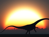 A Silhouetted Diplodocus Dinosaur Takes at the Start of a Prehistoric Day