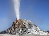 White Dome Geyser Erupting  Upper Geyser Basin Geothermal Area  Yellowstone National Park