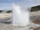 Plume Geyser Eruption  Upper Geyser Basin Geothermal Area  Yellowstone National Park  Wyoming