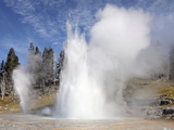 Grand Geyser Erupting  Upper Geyser Basin Geothermal Area  Yellowstone National Park