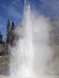 Grand Geyser Erupting  Upper Geyser Basin Geothermal Area  Yellowstone National Park