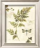 Ivies and Ferns III