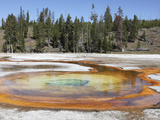 Chromatic Pool Hot Spring  Upper Geyser Basin Geothermal Area  Yellowstone National Park  Wyoming