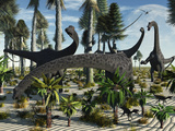 A Herd of Diplodocus Dinosaurs Feeding on Plants