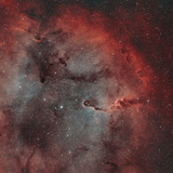 IC 1396  the Elephant Trunk Nebula