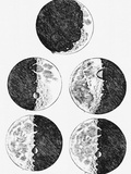 Galileo's Drawings of the Phases of the Moon