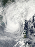 Typhoon Megi