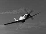 A P-51D Mustang in Flight