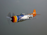 A Republic P-47D Thunderbolt in Flight