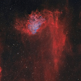 The Flaming Star Nebula