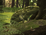 A Close-Up of a Three Foot Long Ichthyostega from the Late Devonian Period