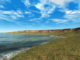 Thousands of Individual Aglaophyton Populate an  Early Devonian Bay