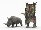 An Adult Pentaceratops Compared to a Modern Adult White Rhinoceros