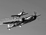 A P-38 Lightning and P-51D Mustang in Flight