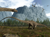 Diplodocus Dinosaurs Graze While Pterodactyls Fly Overhead