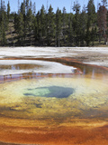 Chromatic Pool Hot Spring  Upper Geyser Basin Geothermal Area  Yellowstone National Park  Wyoming