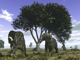 Nedoceratops Graze Beneath a Giant Oak Tree