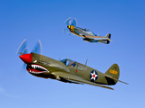A P-40E Warhawk and a P-51D Mustang Kimberly Kaye in Flight