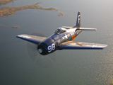 A Grumman F8F Bearcat in Flight