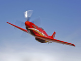 A Dago Red P-51G Mustang in Flight