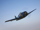 The Commemorative Air Force's F6F-5 Hellcat in Flight