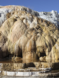 Cleopatra Terrace  Mammoth Hot Springs Geothermal Area  Yellowstone National Park  Wyoming