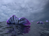 Portuguese Man O' War Swarm over the Surface of a Cambrian Ocean
