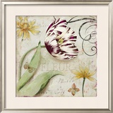 Tulipa I