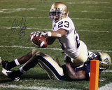 Golden Tate Autographed Notre Dame Endzone Stretch Photograph