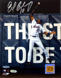 Endy Chavez Autographed 2006 NLCS Game Seven Robbing HR Photograph