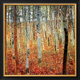 Forest of Beech Trees  c1903