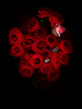 A Bouquet of Red Roses