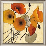 Pumpkin Poppies II