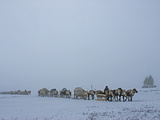 A Komi Reindeer-Herding Clan on the Tundra in Heavy Whiteout Fog