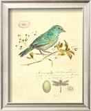 Gilded Songbird I