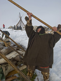 Nomadic Komi Reindeer Herders Assemble Chums over their Belongings