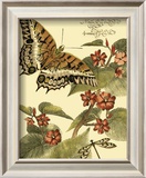 Whimsical Butterflies II