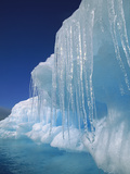 Icicles Hanging from Iceberg  Petermann Island  Antarctic Peninsula  Antarctica