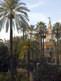 Alcazar Palace Gardens with the Giralda Tower in Background