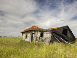 A Log Cabin Collapses into the Prairie Landscape